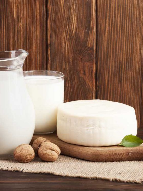 Veja porque idosos devem consumir leites e derivados